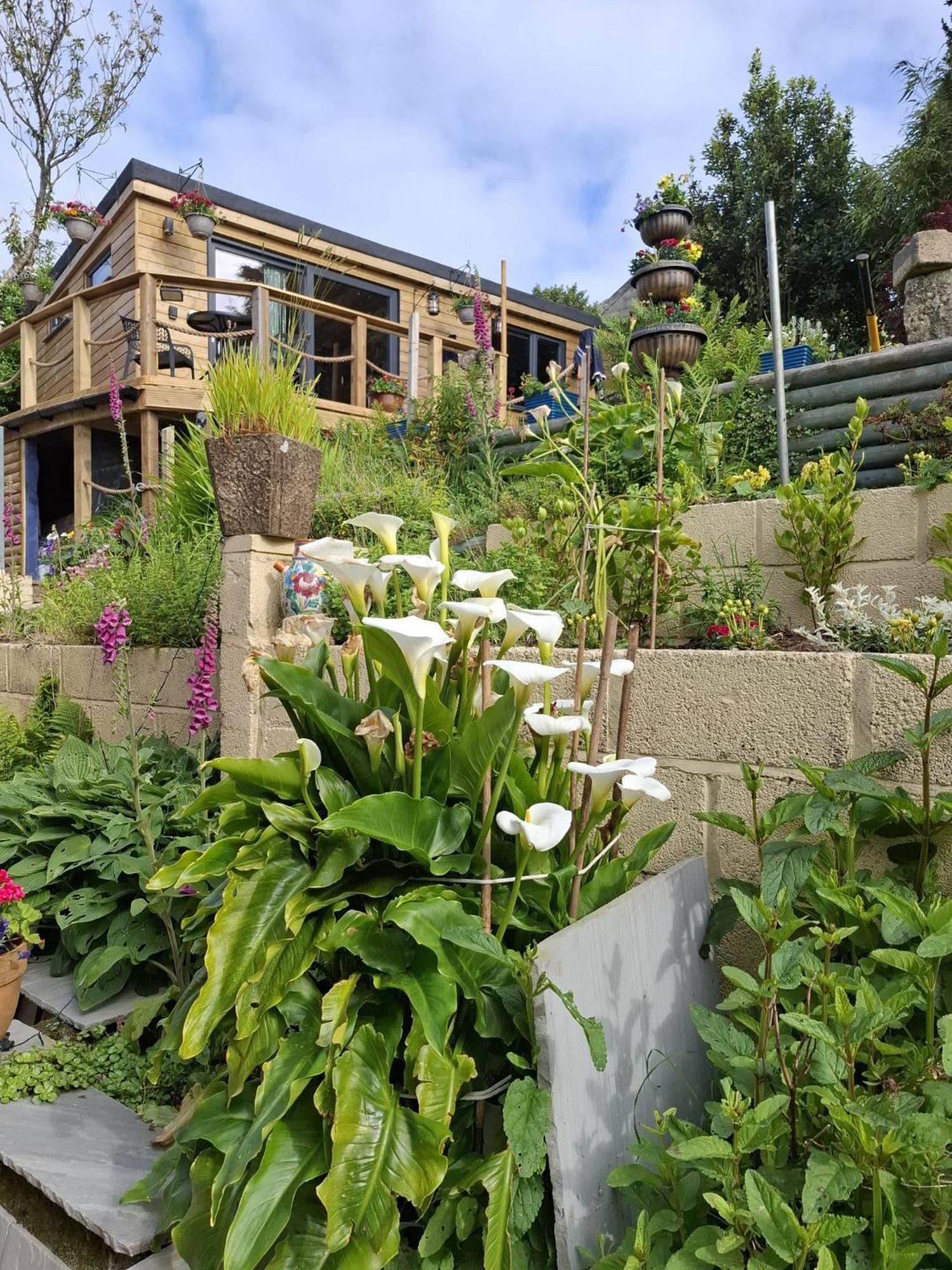 Cosy Cornish Cabin سانت أوستيل المظهر الخارجي الصورة